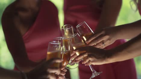A-group-of-women-hold-their-champagne-glasses-in-a-toast-during-a-wedding