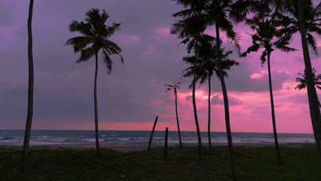 Wolkiger-Sonnenuntergang-An-Einem-Strand-Mit-Kokosnussbäumen