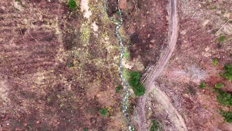 Aerial-top-down-view-of-a-cut-down-forest-with-mountain-creek-and-trail-path