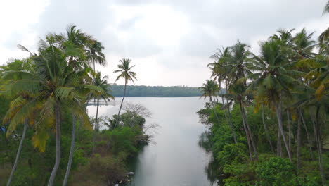 Morning-lakeshores-with-coconut-trees