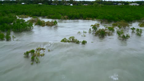 Aerial-Drone-of-Pulsing-Ocean-Wave-Water-Spreading-Below-Dense-Thicket-Mangrove-Stand