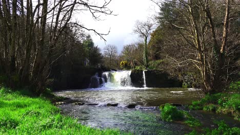 Wasserfall-Mit-Trittsteinen-Poulassy-Wasserfälle-Mullinavat-Kilkenny-An-Einem-Frühlingstag