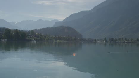 Zwei-Enten-Schwimmen-über-Einen-Perfekten-Blick-Auf-Den-Malerischen-Hafen-|-Ländlicher-Europäischer-Berghang-Mit-Großem-See