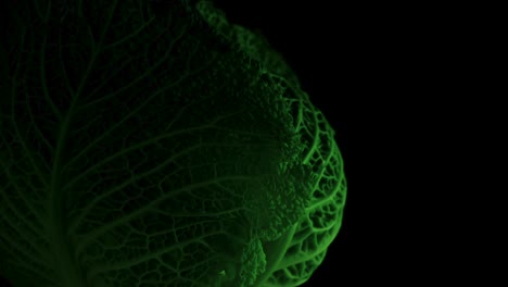 The-rotating-perspective-of-delicious-green-cabbage-leaves,-showcases-the-plant's-textures-against-a-black-backdrop,-symbolizing-the-essence-of-nutritious-eating-and-nourishment