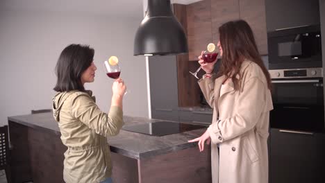 Two-women,-couple-of-friends-drink-wine-indoor-at-kitchen-home-toasting-cheering-with-glass-smiling,-speaking-and-laughing