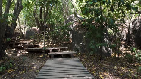 Wooden-steps-through-Tayrona-National-Park's-forest,-Colombia