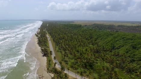 Camino-De-Manzanilla-Mayaro,-Trinidad-Y-Tobago