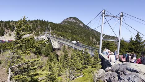 Grandfather-Mountain-NC,-Swinging-Bridge