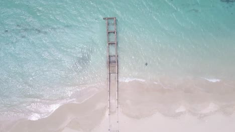 aerial-view-captures-the-tranquility-of-a-deserted-Caribbean-beach,-showcasing-an-aged-pier-while-a-stingray-gracefully-glides-through-the-water-below