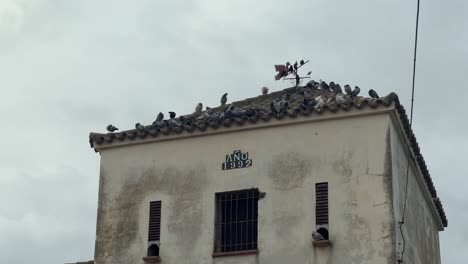Traveling-past-aged-structures-along-Spain's-coast,-adorned-with-pigeon-flocks-atop,-evoking-vintage-architectural-charm