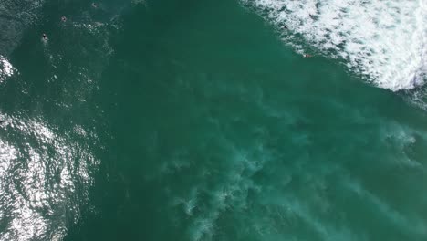 Bird's-Eye-View-Of-Surfers-Floating-On-The-Ocean-In-Cabarita,-New-South-Wales,-Australia---Drone-Shot