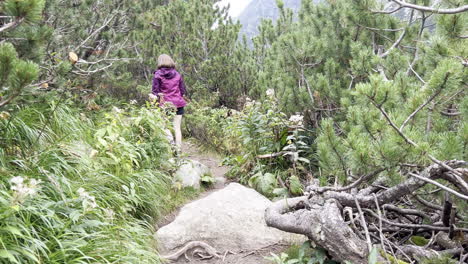 Following-a-girl-hiking-on-a-trail-in-the-Retezat-mountains-of-Romania