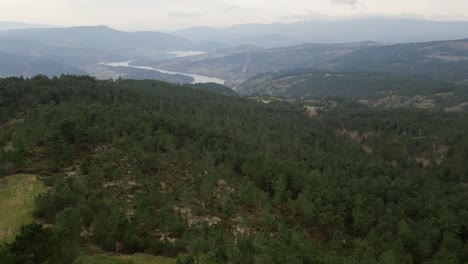 Dolly-Aéreo-Sobre-Camino-Forestal-Para-Establecer-El-Valle-Del-Río-Punxin-En-Ourense,-España
