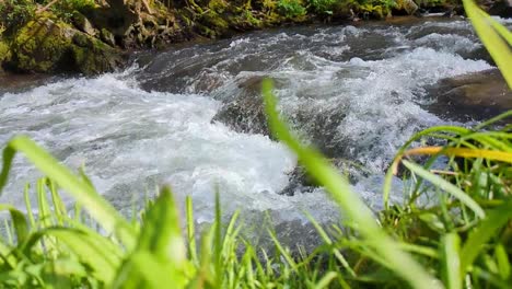 Slow-Motion-Fast-River-with-Grass-Bank-in-Spring