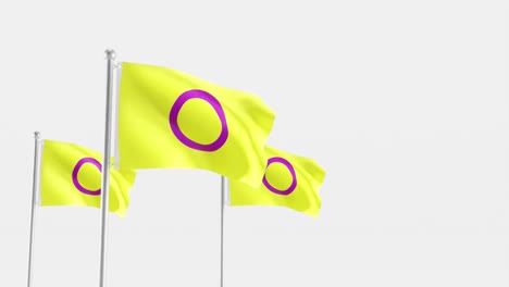 Intersex-flag-waving-on-white-background,-3D-render