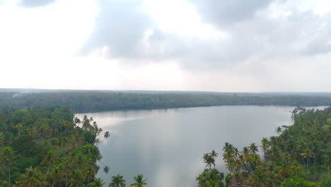 Morning-lakeshores-with-coconut-trees