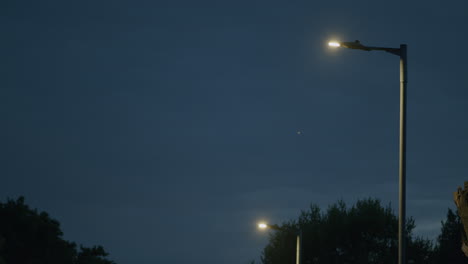 Street-lamp-in-evening-light-with-insects-flying-around-it
