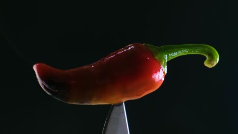 BBQ-Smoked-Red-Hot-chili-pepper-commercial-plant-up-close