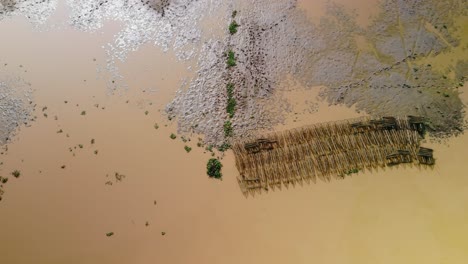 Fish-nets-stored-in-muddy-waters-on-the-Tonle-Sap-shore-line,-Drone-aerial-tilt-up-revealing-horizon