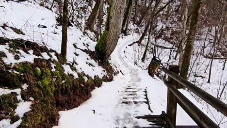 Walking-on-snowy-path-leading-up-to-a-small-wooden-bridge-in-the-middle-of-a-winter-forest,-steep-slope-on-the-right