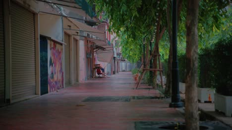 Lonely-dog-strolling-down-a-quiet-Bangkok-street
