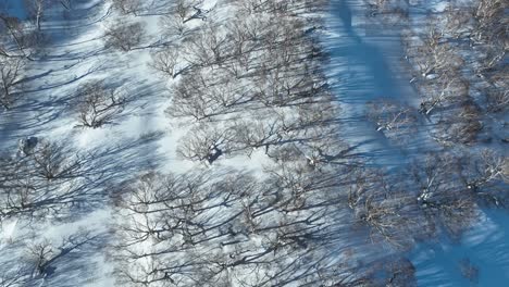 Top-down-shot-above-Japans-Myoko-mountain-summit-peak,-camera-flying-bare-frozen-trees