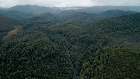 Gordon-River-With-Abundant-Rainforest,-Franklin-Gordon-Wild-Rivers-National-Park-In-Western-Tasmania,-Australia