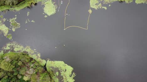 Drone-ascending-over-lake-with-a-safe-swimming-spot-and-safety-net