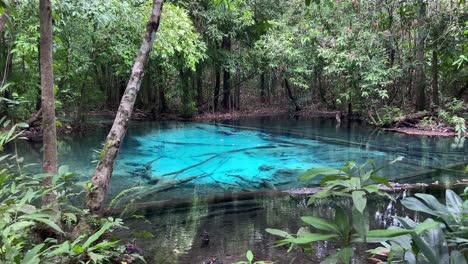 Increíble-Piscina-Azul-Natural-En-La-Selva-Tropical-De-Krabi,-Tailandia