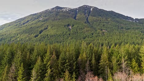 Aerial-view-of-mountain-covered-in-Evergreen-forest-in-Snoqualmie,-Washington-State