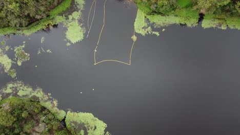 4K-aerial-drone-shot-of-a-recreational-area-on-a-lake-with-a-safe-swimming-spot-with-safety-net
