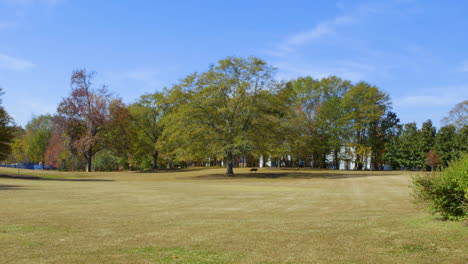Distant-trees-in-a-large-grass-field-with-a-park-bench-beneath-at-a-public-park