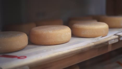 Fábrica-De-Cuñas-De-Queso