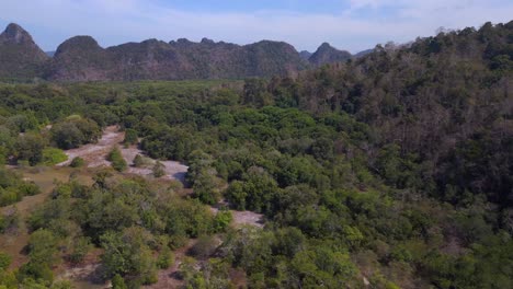 Mangroves-river-view-lush-greenery-cloudy-sky