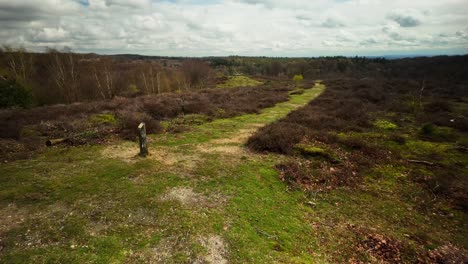 On-top-of-a-sand-dune-in-famous-Veluwe-Dutch-national-heathland-park-pov