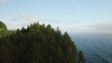 Low-flight-over-forested-cliff-towering-over-foggy-Pacific-Ocean-on-Oregon-Coast