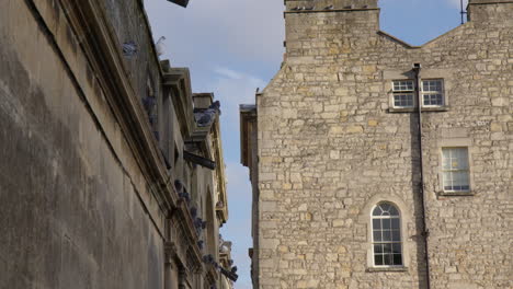 Pigeons-Perching-On-Old-Buildings-In-Bath,-England---Low-Angle-Shot