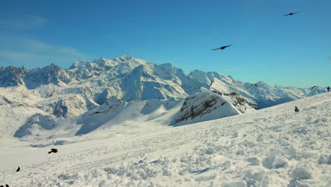 Vogelschwarm-Fliegt-über-Den-Schneebedeckten-Höchsten-Gipfel-Des-Mont-Blanc,-Frankreich,-Europa