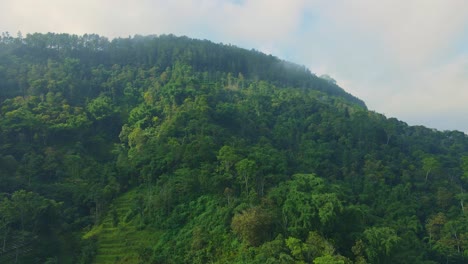 Aerial-view-of-a-mountain-completely-enveloped-in-a-large-green-forest