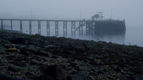 Rocky-shore-with-pier-behind-on-still-misty-day