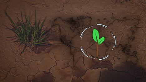 Time-Lapse-of-a-animated-plant-icon-and-a-world-map-on-drying-earth-background