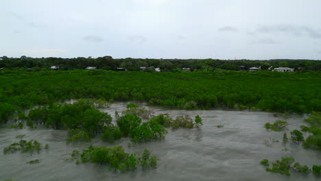 Drone-Aéreo-Del-Océano-Al-Manglar-En-Tierra-Y-Casas-En-El-Borde-Costero-En-El-Mar-De-Darwin-NT,-Australia