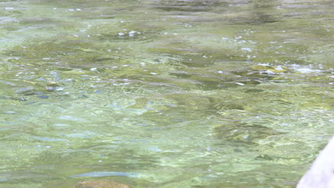 Agua-Clara,-Piedras-En-El-Fondo-De-Un-Río-Alpino,-Agua-Potable