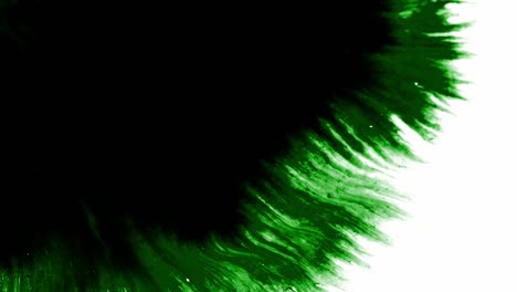 Nahaufnahme-Von-Spritzern-Und-Flecken-Grüner-Tinte,-Die-Sich-Auf-Weißem-Hintergrund-Ausbreiten