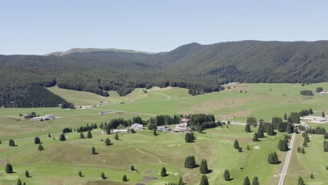Entspannende-Grüne-Sommerwiesen,-Italienischer-Cansiglio-Wald,-Ländliche-Landschaft