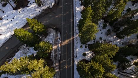 Bird's-eye-view-of-tree-tops-of-evergreen-forest-and-snow-with-cars-passing-through-in-Cle-Elum,-Washington-State