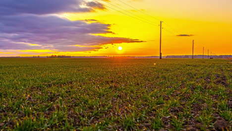 Time-lapse-of-the-sun-setting-over-growing-crops-on-a-rural-farm