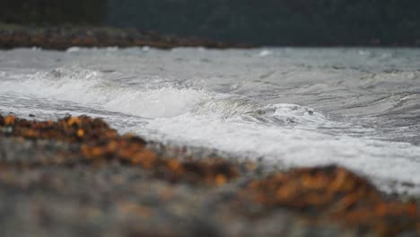 White-crested-waves-crash-on-the-pebble-beach-covered-with-seaweed