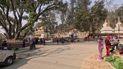 Busy-traffic-intersection-with-a-market-and-forest-hill