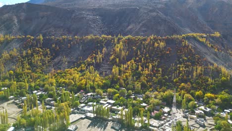 Luftaufnahme-Der-Herbstlichen-Bäume-Am-Hang-Des-Skardu-Tals